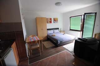 Апартаменты Mrdja Apartments Колашин Номер-студио с террасой-1