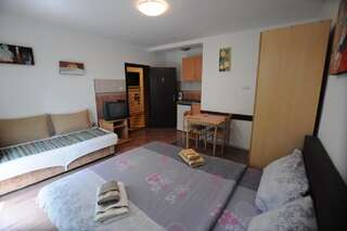 Апартаменты Mrdja Apartments Колашин Номер-студио с террасой-2