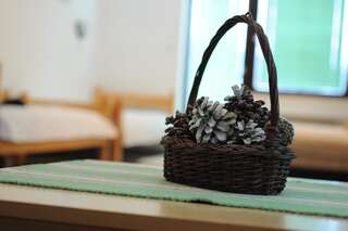 Апартаменты Mrdja Apartments Колашин Апартаменты с 1 спальней и террасой-7